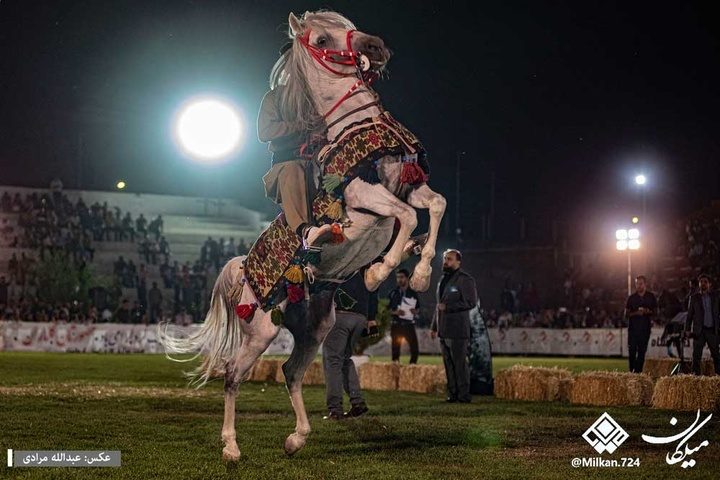 ۱۰۰ ئەسپی کورد لە فێستیڤاڵی نێودەوڵەتیی ئەسپی کورد لە کرماشان پێشان دران