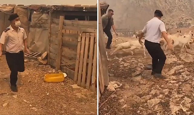 تداوم آتش سوزی در چاناق قلعه: خاکستر شدن 5 هزار هکتار جنگل/تخلیه 9 روستا