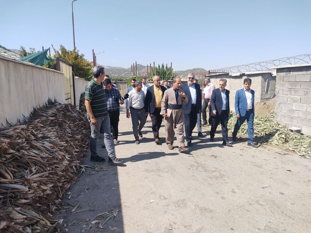 چندین طرح تولیدی و کشاورزی در سروآباد و مریوان مورد بازدید قرار گرفت