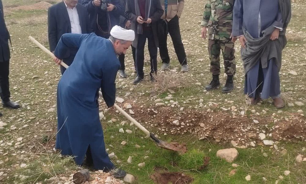 ۶ میلیون اصله نهال در ایلام تا پایان فروردین ۱۴۰۳ کاشت می شود