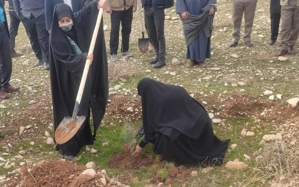 ۶ میلیون اصله نهال در ایلام تا پایان فروردین ۱۴۰۳ کاشت می شود