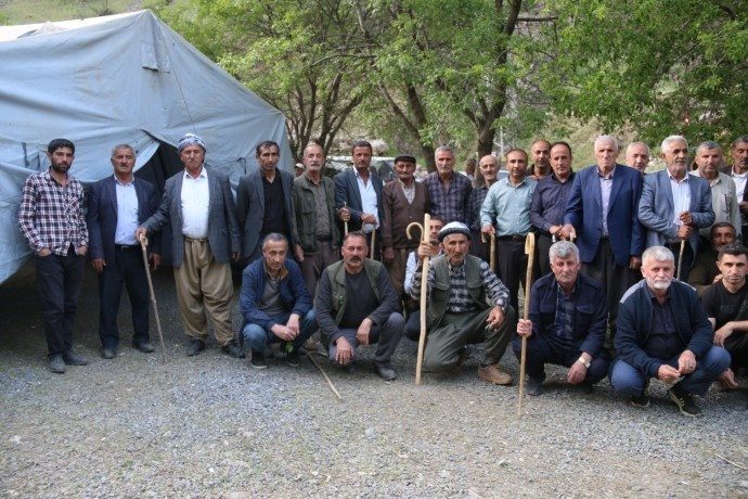 دستتان را از سرزمین های ما بکشید/درختان بلوط ما را قتل عام کردید + تصاویر