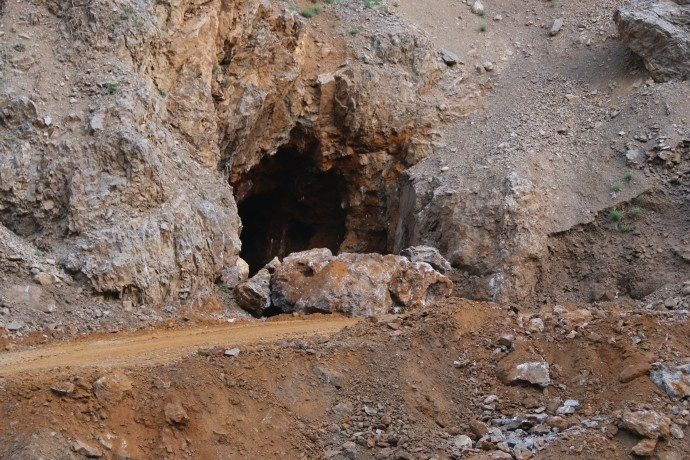 دستتان را از سرزمین های ما بکشید/درختان بلوط ما را قتل عام کردید + تصاویر