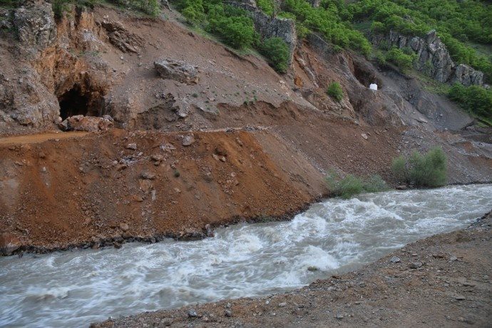 دستتان را از سرزمین های ما بکشید/درختان بلوط ما را قتل عام کردید + تصاویر