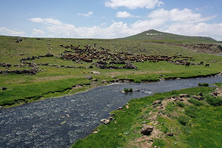 عشایر کوچرو چادرهای خود را در فلات سینک آگری برپا می کنند + تصاویر