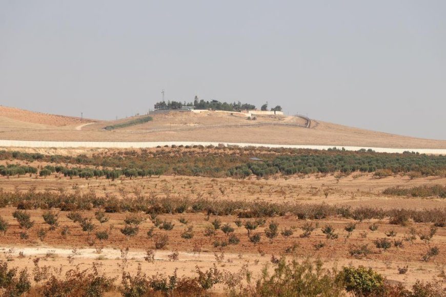 برداشت زیتون در کردستان سوریه آغاز شد؛ حملات ترکیه مانع برداشت زیتون توسط باغداران
