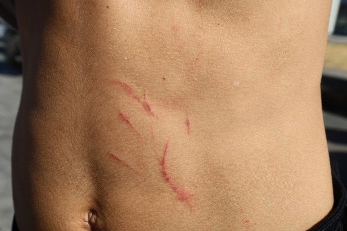 ضربوشتم و بازداشت به دلیل گوش دادن به موسیقی کردی در استانبول/ پلیس: "شما تروریست هستید"