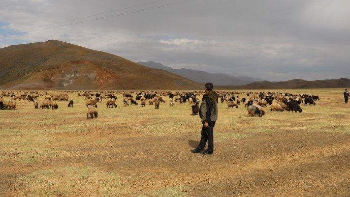 روستاییان بیتلیسی: اراضی ما توسط گاردهای محلی تصرف شده اند