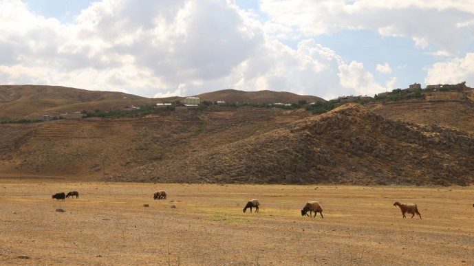 روستاییان بیتلیسی: اراضی ما توسط گاردهای محلی تصرف شده اند