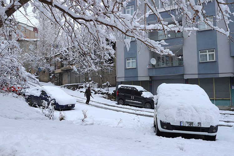 دست برف بر شانههای کردستان ترکیه نشست و دل ها را شاد کرد + تصاویر