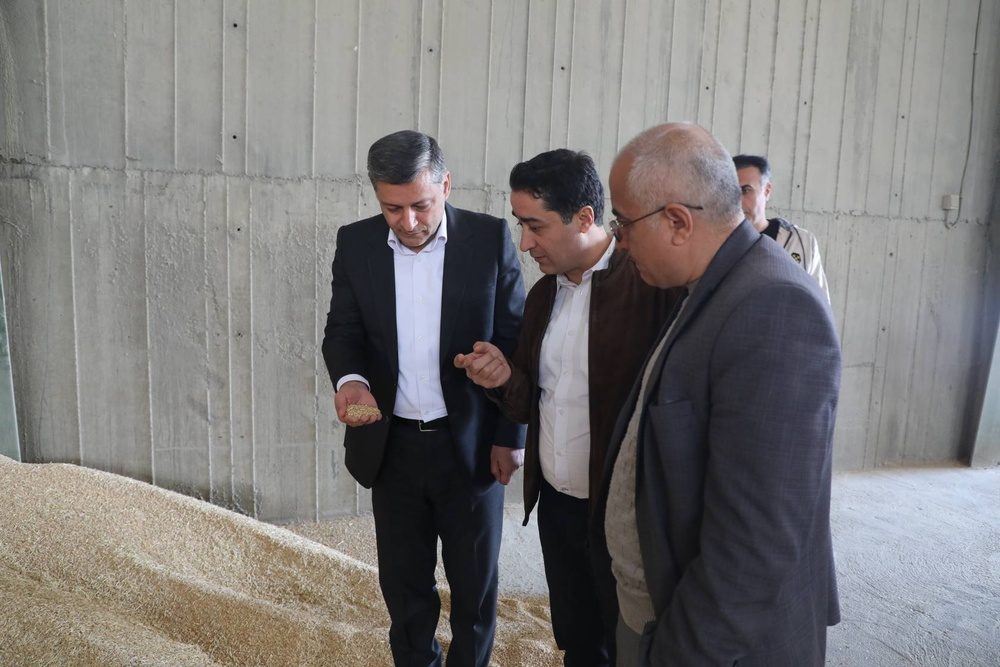 تأمین پایدار آرد در کردستان؛ هیچ کمبودی وجود ندارد/ بازدیدهای سرزده از کارخانه‌ها ادامه دارد