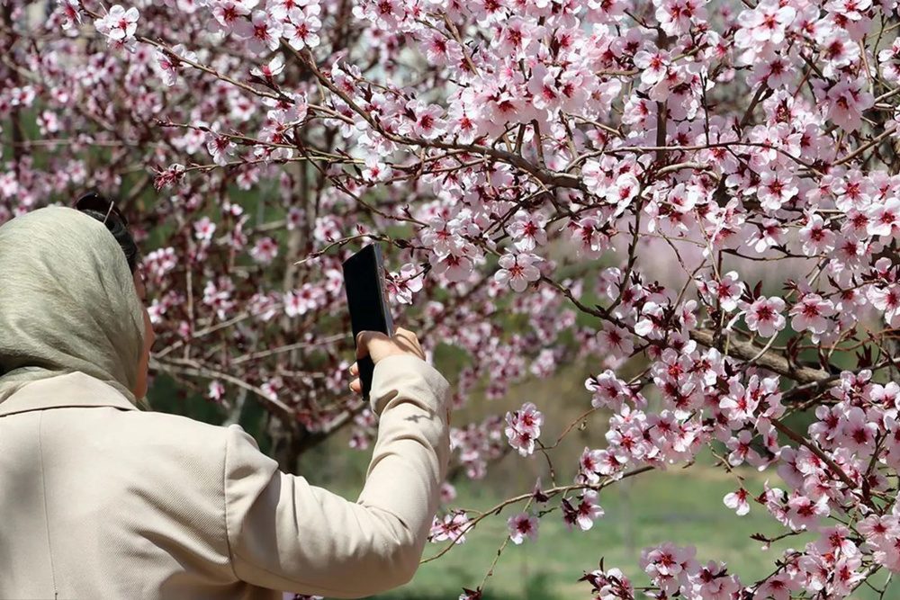 آذربایجان غربی؛ بهشت گردشگری کشاورزی