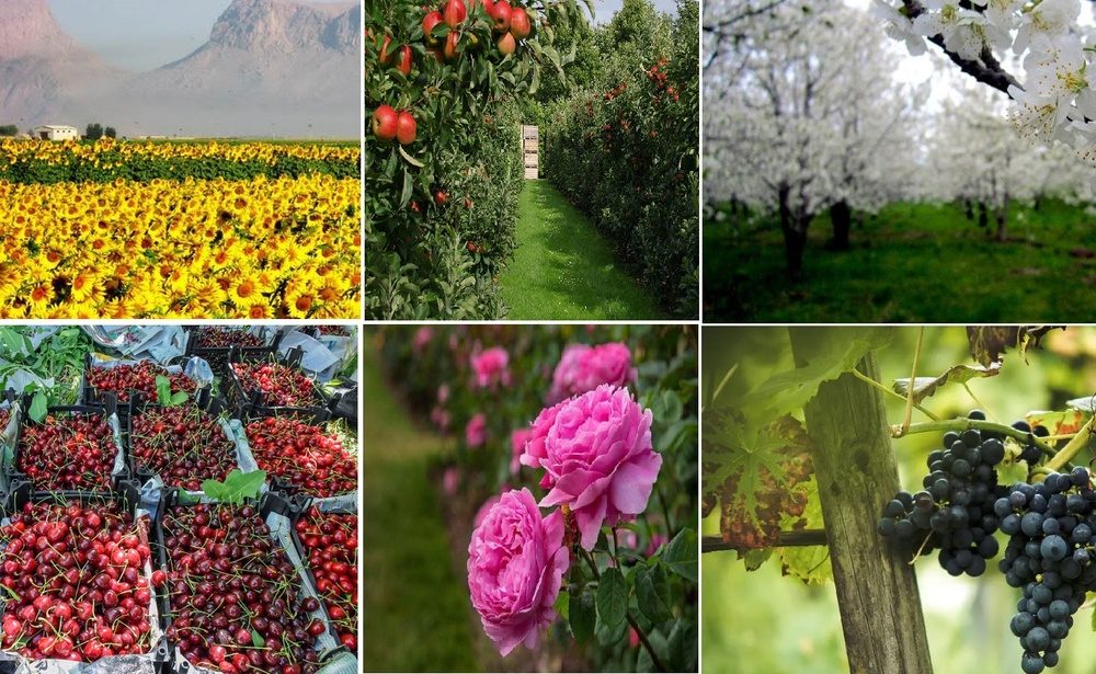 آذربایجان غربی؛ بهشت گردشگری کشاورزی