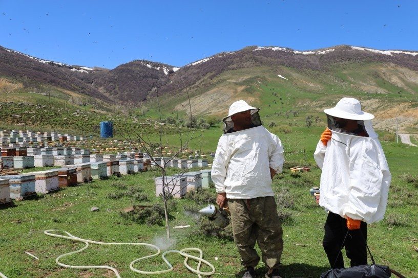 موش؛ پایتخت تابستانی زنبورهای عسل در کردستان ترکیه
