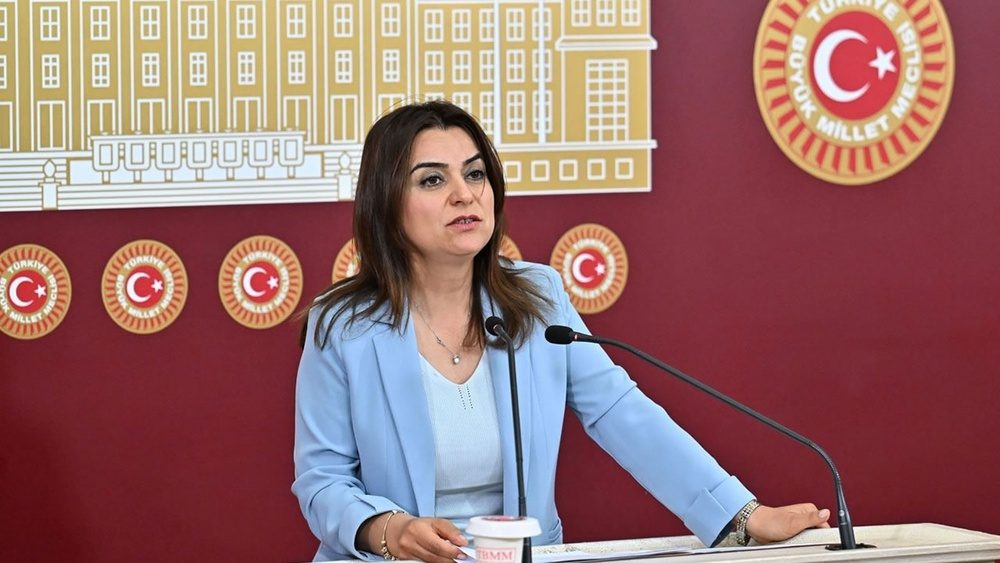 دم پارتی: مجلس باید گزارش کمیسیون صلح را هرچه سریع‌تر به قانون تبدیل کند