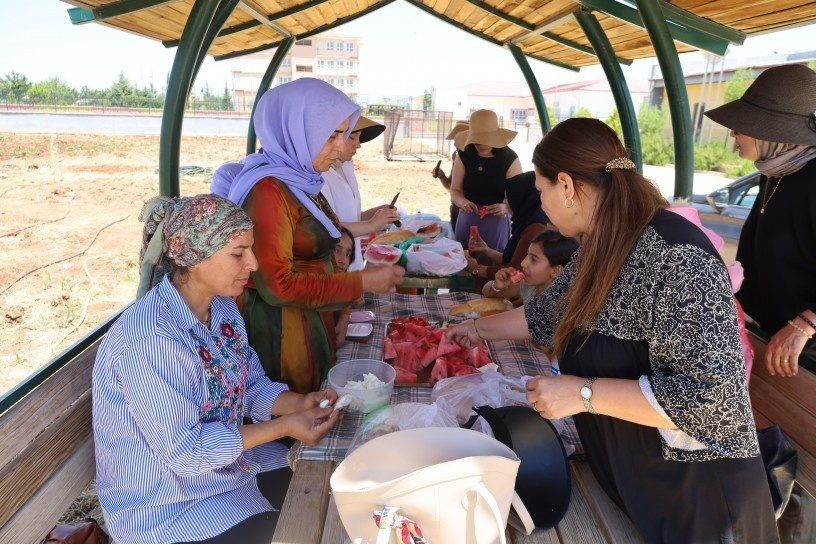 مزرعه زنان در ویرانشهر به بار نشست؛ زنان خواستار گسترش این طرح شدند + فیلم