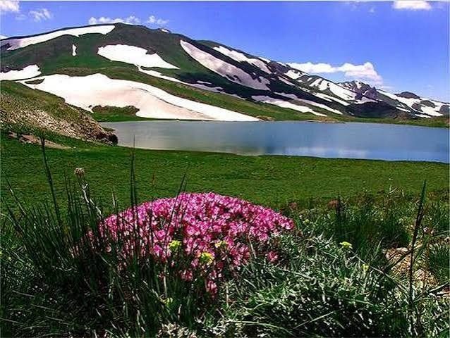 دالان‌پر؛ میراثی در معرض نابودی!/ شفیع بهرامیان