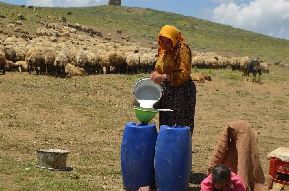 تصاویر کوچنشینان کُرد در دامنههای برفی و زیبای کوه کورتیک کردستان ترکیه