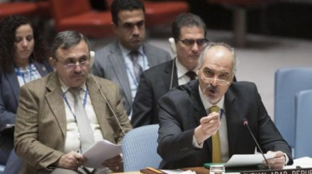 Representative denies there is a Kurdish question in Syria