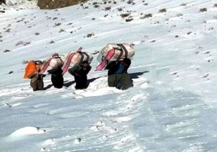 دو کولبر گم شده در پنجوین عراق پیدا شدند