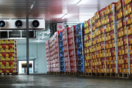 ذخیره ٦٥٠هزار تن سیب در سردخانه های آذربایجان غربی