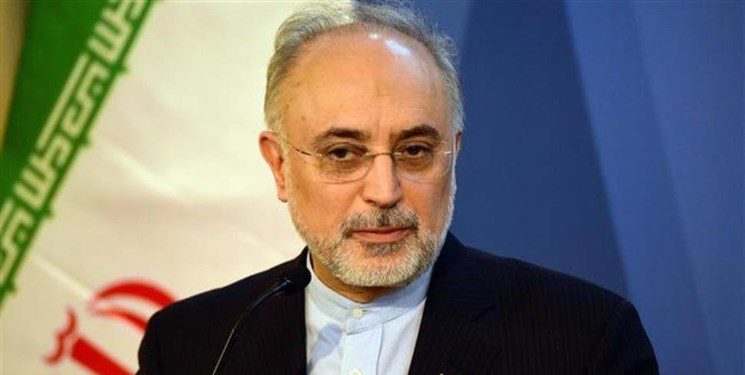 صالحی: شورای عالی امنیت ملی درباره عوامل خرابکاری حادثه نطنز نظر می‌دهد/ بررسی ابعاد فعالیت های هسته ای کشورهای همسایه