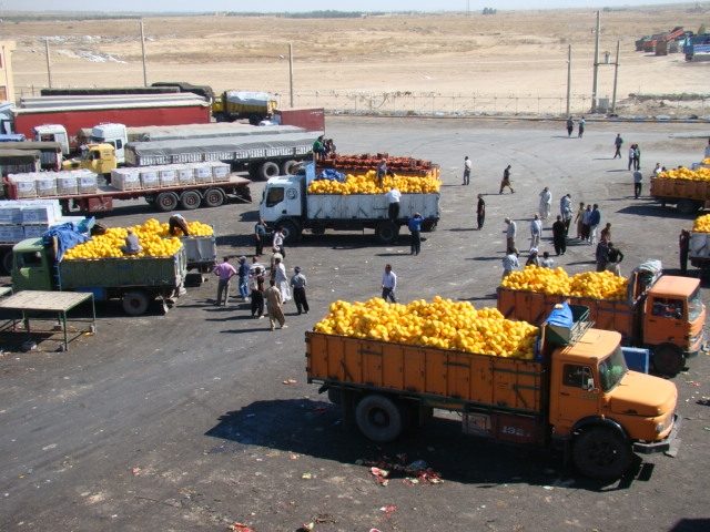 آذربایجان غربی فاقد سیستم حمل و نقل تخصصی محصولات کشاورزی است