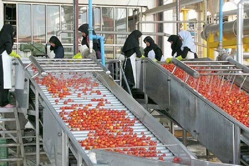 ۵۰ درصد واحدهای تولیدی کردستان خرد هستند