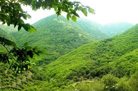 طرح بوم سازگان در آذربایجان غربی 65 درصد پیشرفت فیزیکی دارد