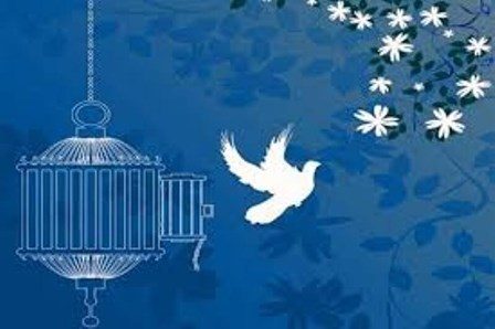 آزادی ٣١٠ زندانی و رهایی ٥ محکوم به قصاص در آذربایجان غربی به همت خیرین