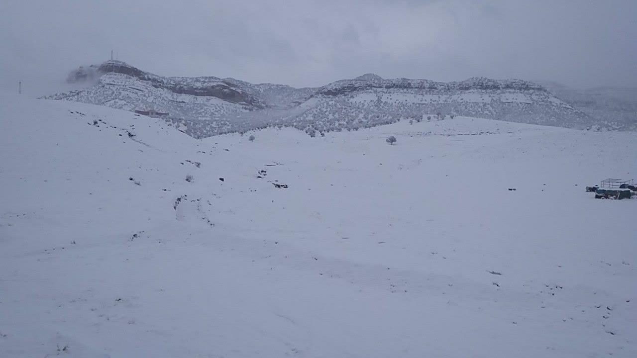 برف پاگیر مدارس چند شهرستان ایلام را تعطیل کرد