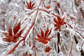 دوشنبه و سه شنبه سردترین روزهای زمستانی برای کرمانشاه