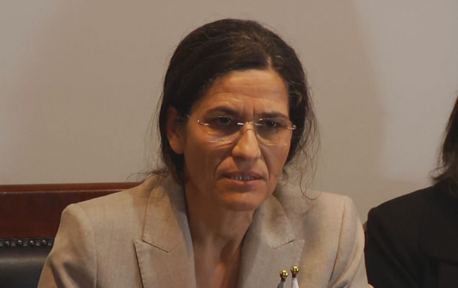 ئیلهام ئەحمەد: دیمەشق رازی بووە دانووستان لەگەڵ بەڕێوەبەرایەتی خۆسەر بکات