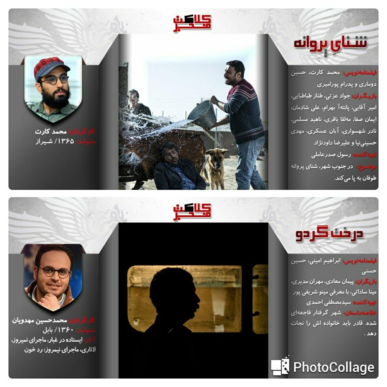 کدام فیلم ها امروز در سینما بهمن سنندج اکران می شوند/ اکران دوباره درخت گردو