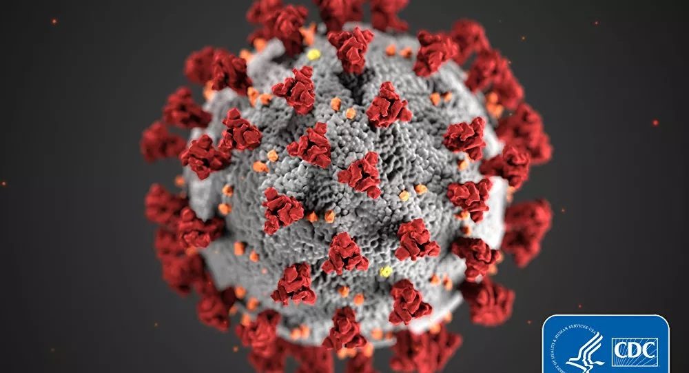 First coronavirus cases recorded in Kurdistan Region