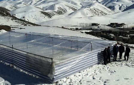 آغل موقت برای ۴ هزار دام مناطق زلزله‌زده قطور ساخته شد