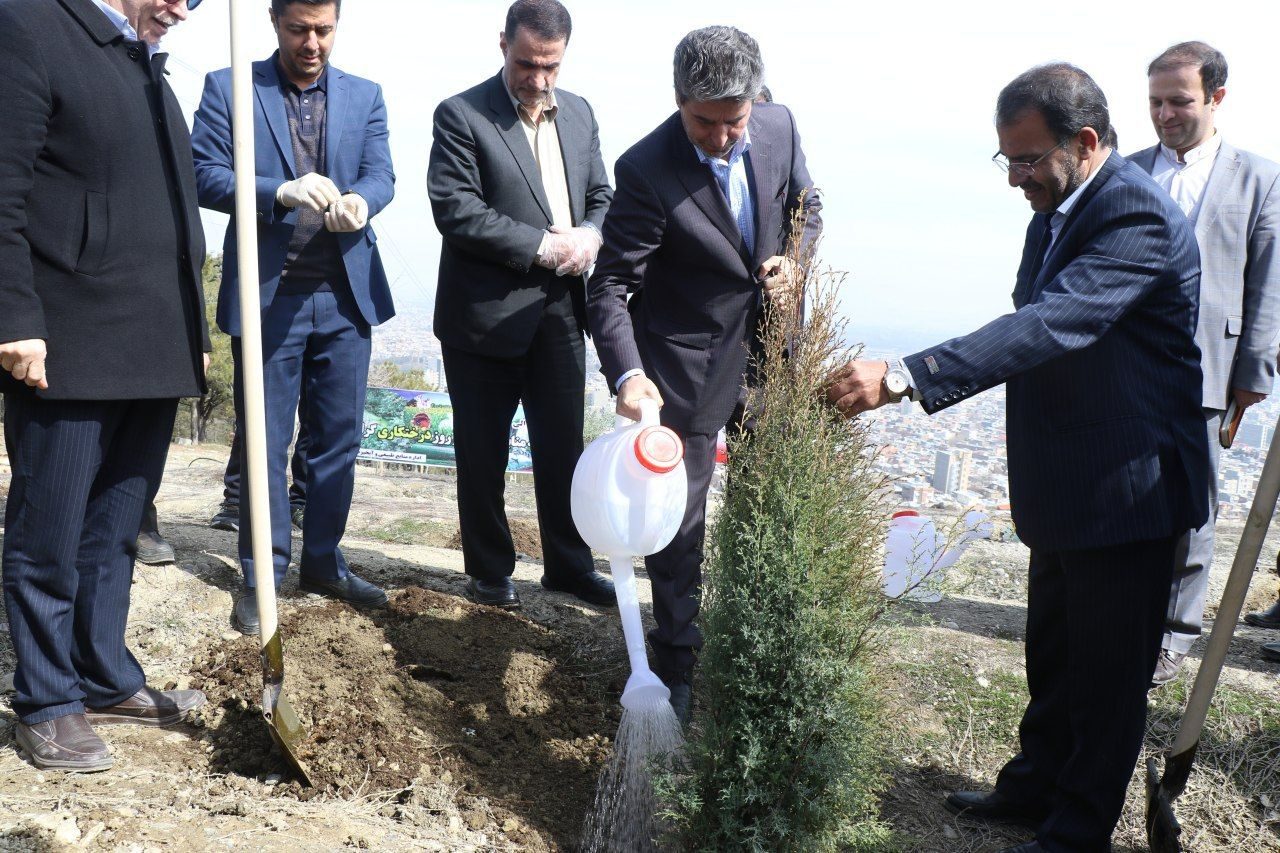 حفاظت از منابع طبیعی نباید مناسبتی باشد/فرهنگ درختکاری توسعه یابد