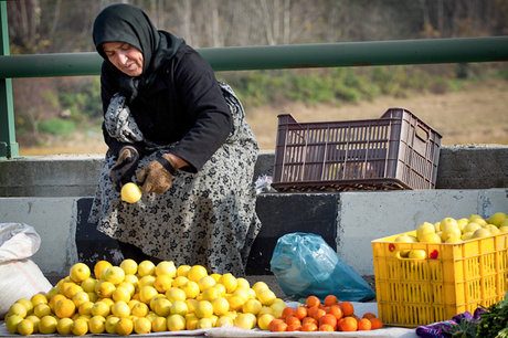 جبران خسارت رانندگان تاکسی، اتوبوس و دست فروش ها پرداخت شود