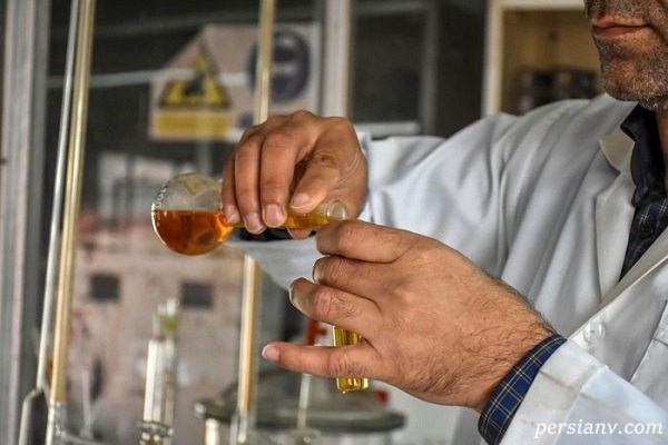 ثبت ۲ مورد مرگ ناشی از مسمومیت با الکل در ایلام