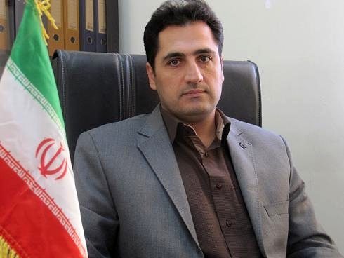 شهرداری اطلاعی از قطع درختان «اکالیپتوس» در سرپل ذهاب نداشته است/ متخلفان تحت پیگرد قانونی هستند