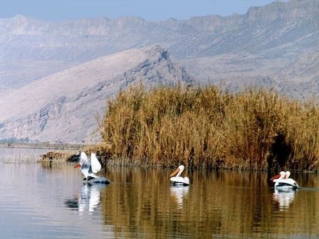 تالاب بین المللی «قوپی باباعلی» مهاباد برای دومین بار آبگیری شد
