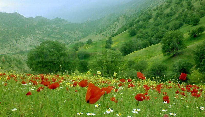 «چاله سیه» را دریابیم / عباس اکبری*