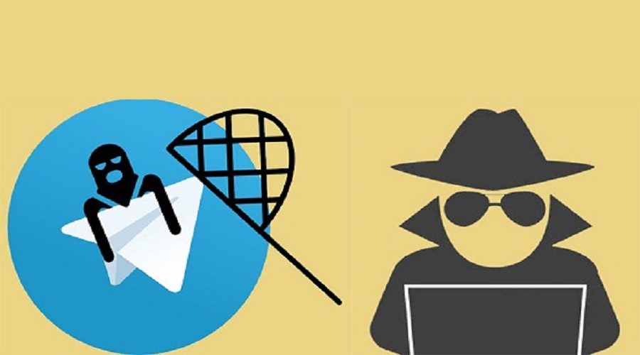کشف پرونده کلاهبرداری در ایلام با ترفند فروش نهاده‌های دامی