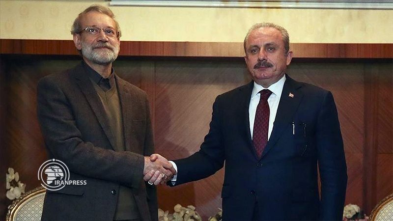 Iran, Turkey discuss joint measures to fight against COVID-19