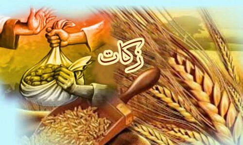 رتبه نخست کشوری کرمانشاه در پرداخت زکات/ ۸۱ درصد زکات دریافت شده صرف کمک به نیازمندان و امور خیریه می شود