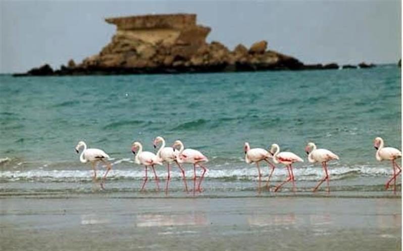 تصویب 7 کمیته برای نظارت بر سواحل و تفرجگاههای آذربایجان غربی