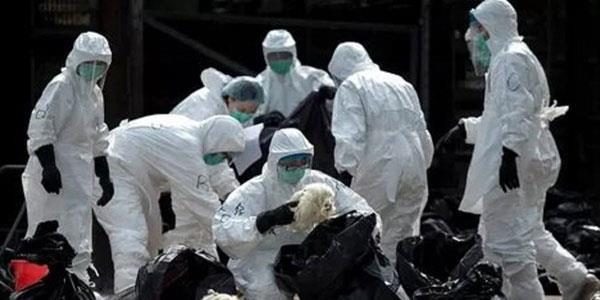 هەرێمی کوردستان... لە ٢٤ کاتژمێری رابردوودا هیچ حاڵەتێکی کۆرۆنا تۆمار نەکرا/ تەنیا ١٥ تووشبووی کۆرۆنا ماونەتەوە