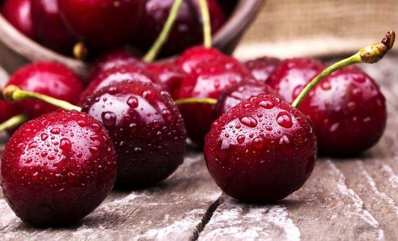 پیش بینی برداشت هزار و ٥٠٠ تن گیلاس در مهاباد