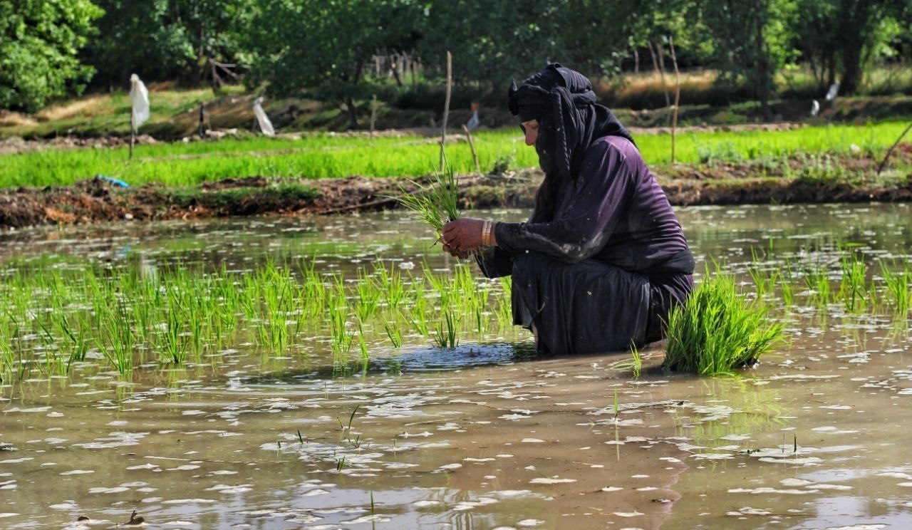 ۱۷ هزار خانوار روستایی ایلام بیمه ندارند