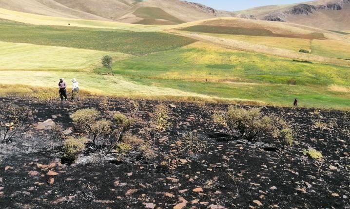 یک سهل انگاری آتش به جان گندم زارهای بوکان انداخت